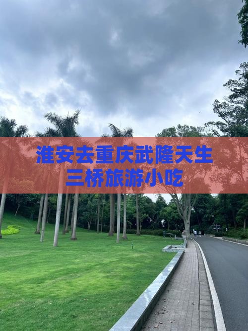 淮安去重庆武隆天生三桥旅游小吃