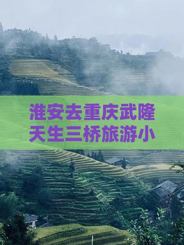 淮安去重庆武隆天生三桥旅游小吃