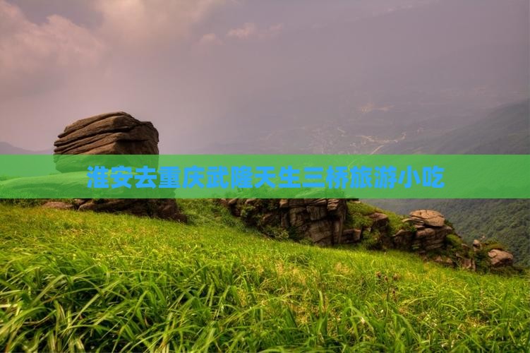 淮安去重庆武隆天生三桥旅游小吃