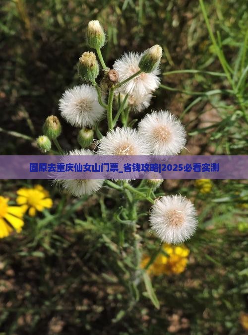 固原去重庆仙女山门票