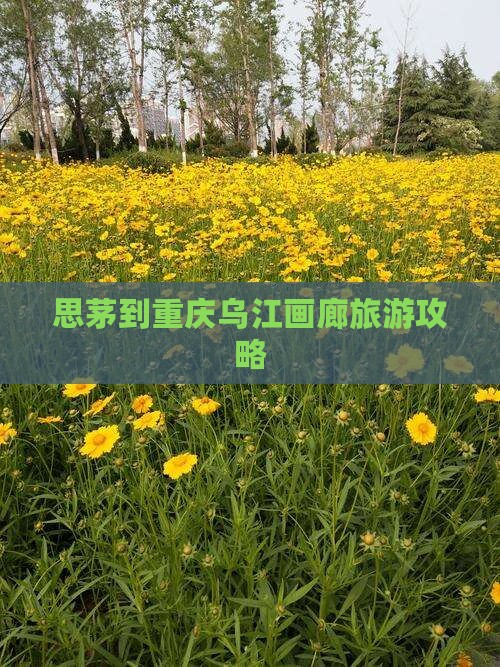 思茅到重庆乌江画廊旅行社