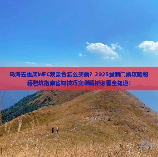 乌海去重庆wfc观景台门票