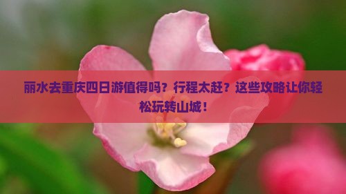 丽水去重庆四日游