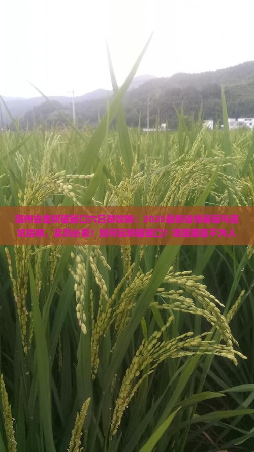 随州去重庆磁器口六日游