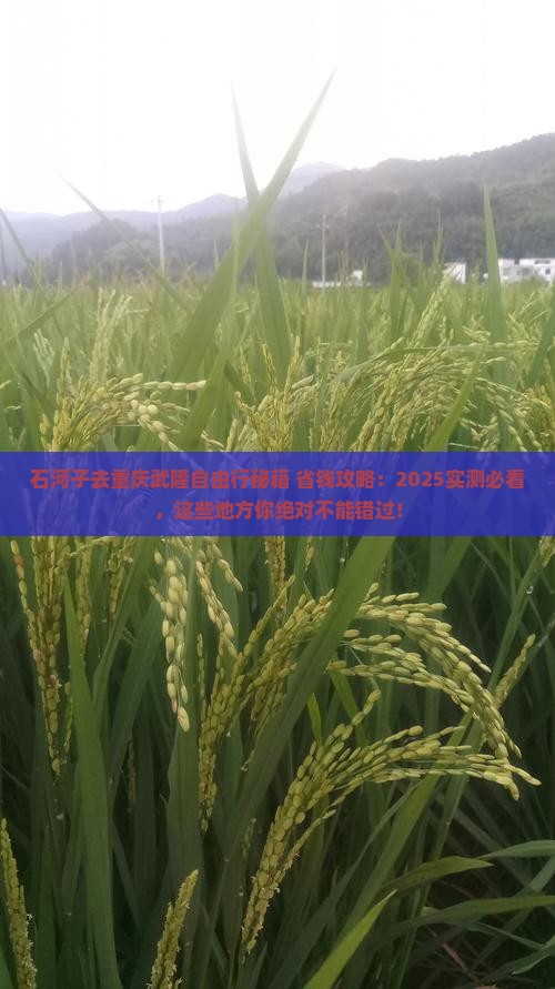 石河子去重庆武隆自由行