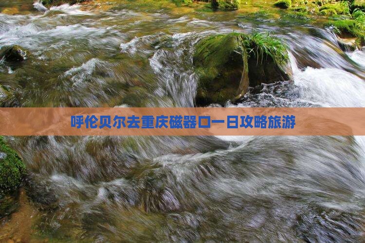 呼伦贝尔去重庆磁器口一日