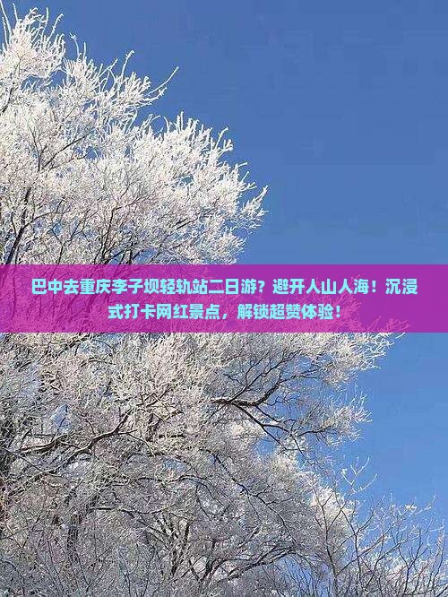 巴中去重庆李子坝轻轨站二日游