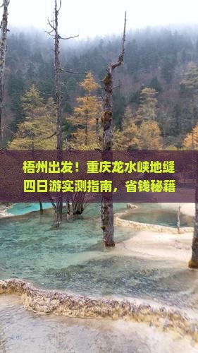 梧州去重庆龙水峡地缝四日游