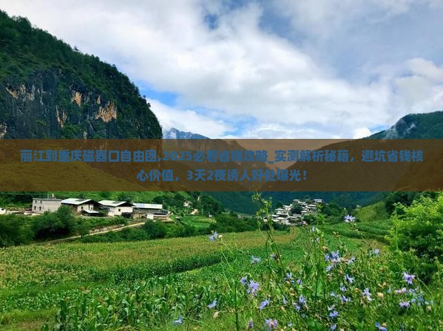 丽江到重庆磁器口自由团