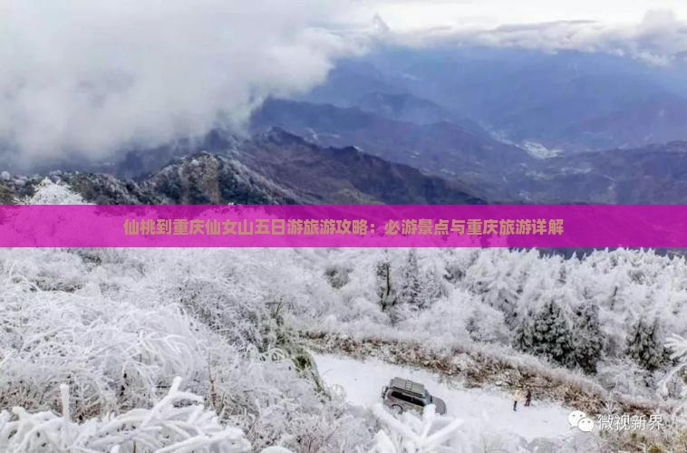 仙桃到重庆仙女山五日游