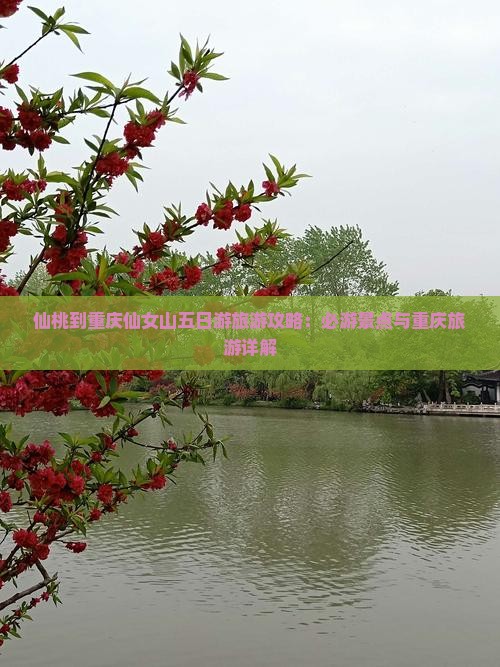 仙桃到重庆仙女山五日游