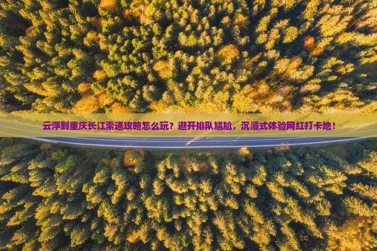 云浮到重庆长江索道攻略