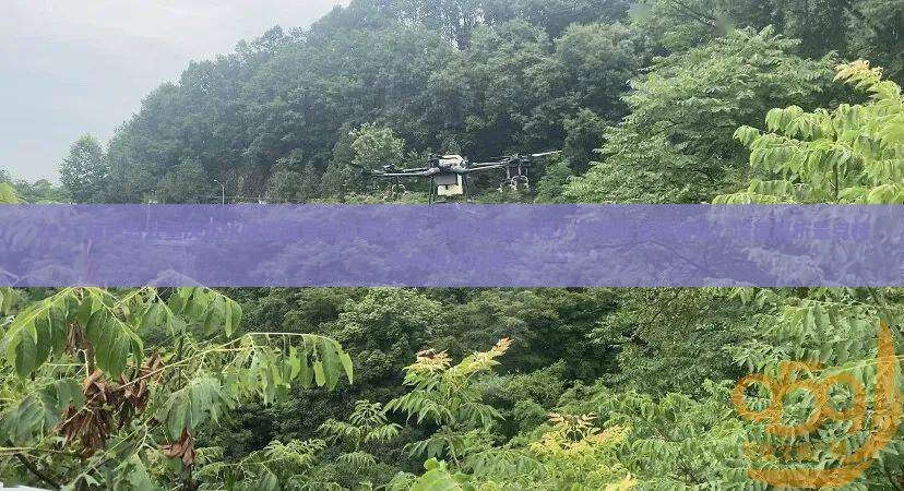 葫芦岛去重庆龙水峡地缝景点