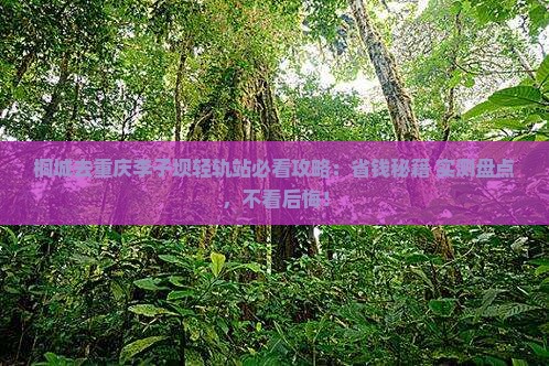 桐城去重庆李子坝轻轨站必去地
