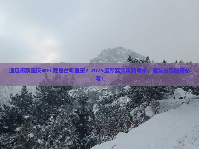 通辽市到重庆wfc观景台哪里玩