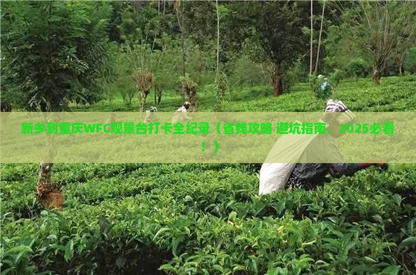 新乡到重庆wfc观景台个人游