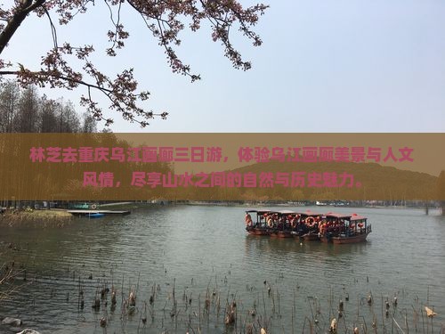 林芝去重庆乌江画廊三日游