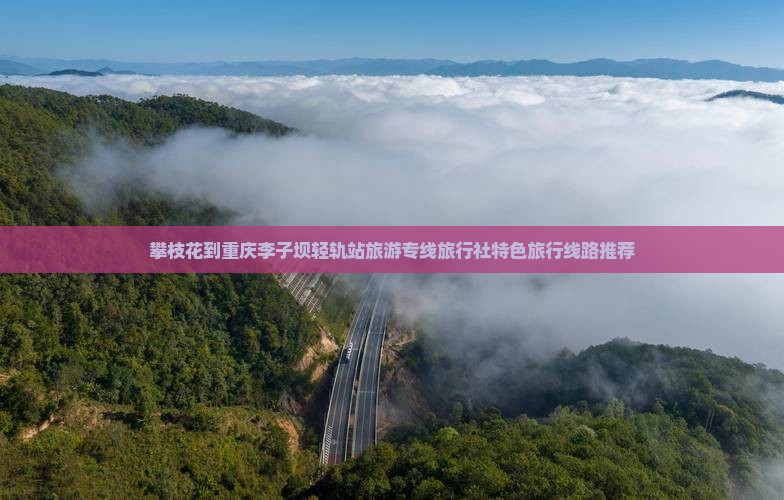 攀枝花到重庆李子坝轻轨站旅行社 攀枝花到重庆李子坝轻轨站旅行社