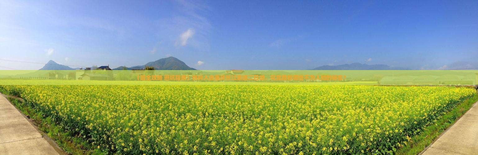 铁岭去重庆长江索道二日游