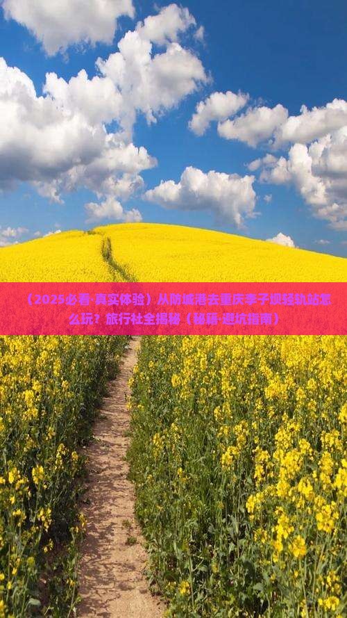 防城港到重庆李子坝轻轨站旅行社