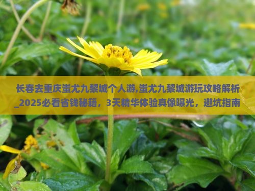 长春去重庆蚩尤九黎城个人游