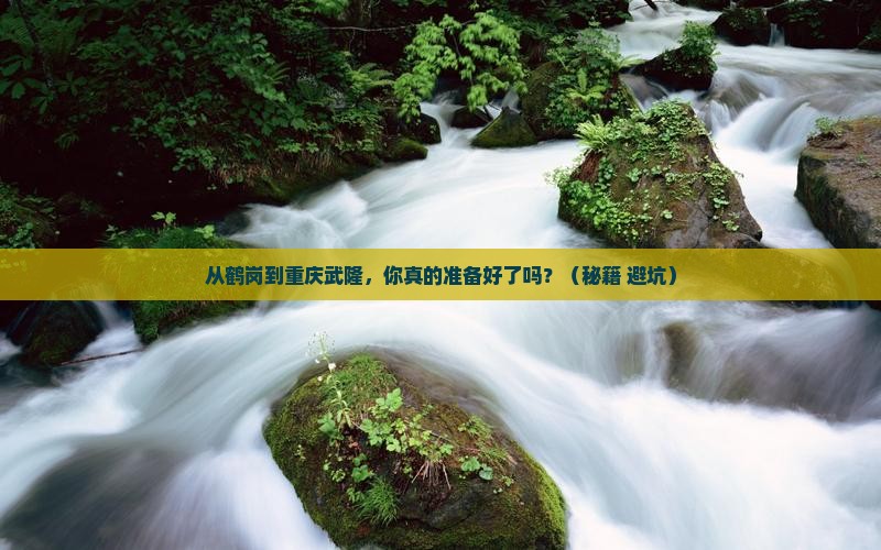 鹤岗到重庆武隆旅游