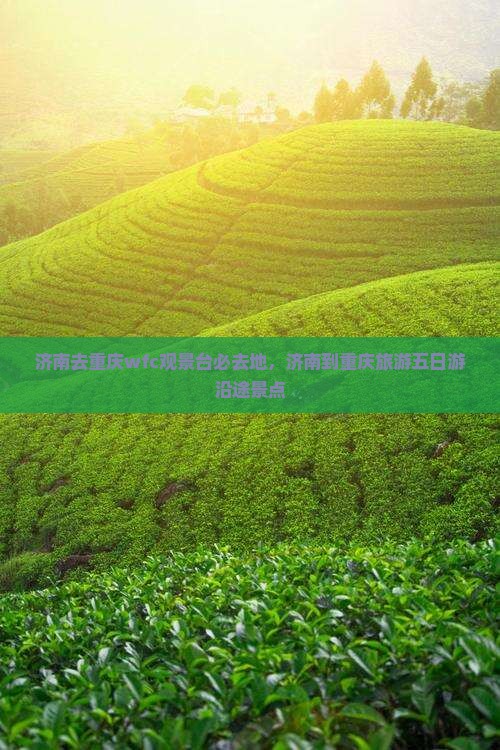 济南去重庆wfc观景台必去地