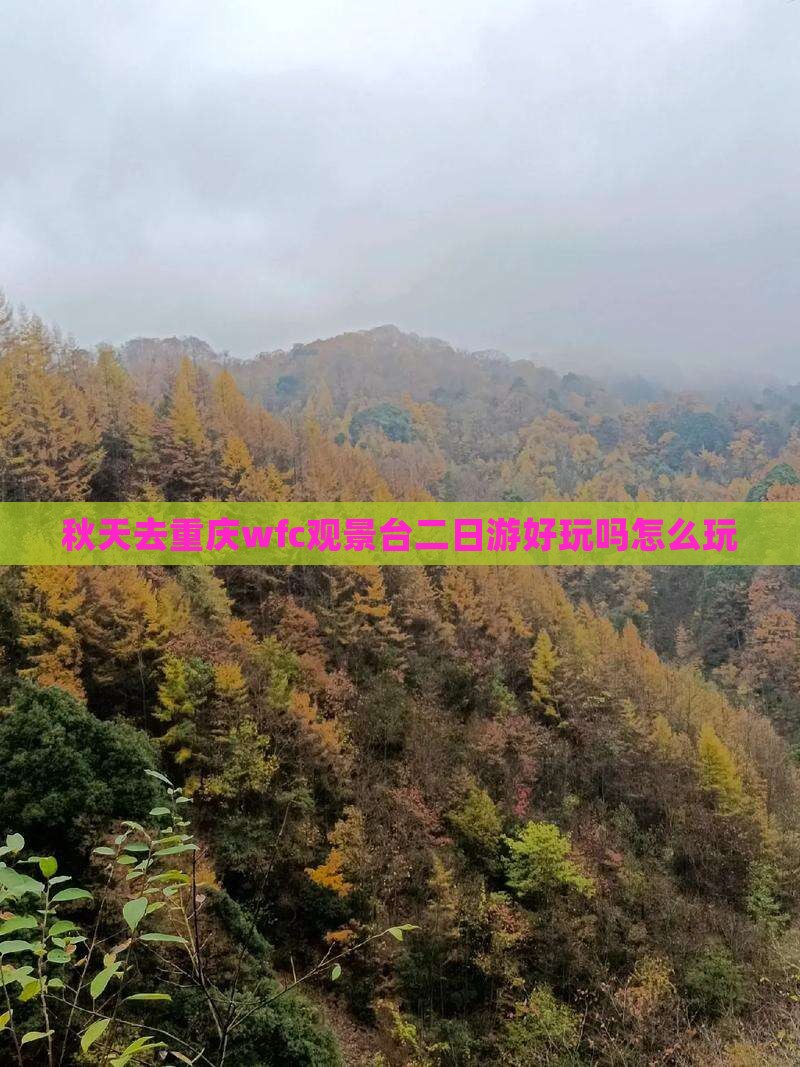 秋天去重庆wfc观景台二日游