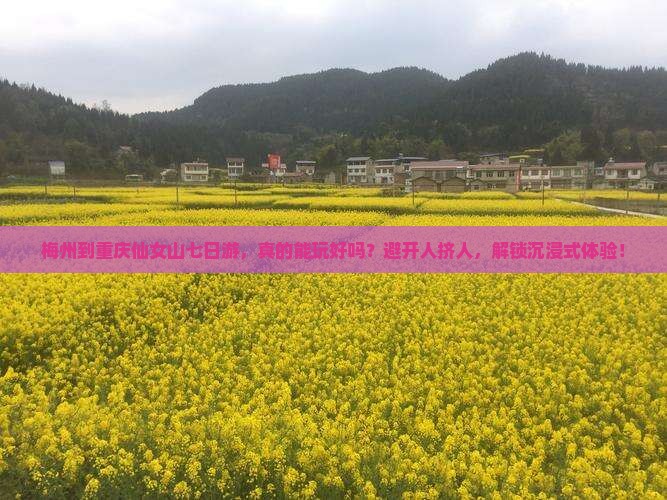 梅州到重庆仙女山七日游