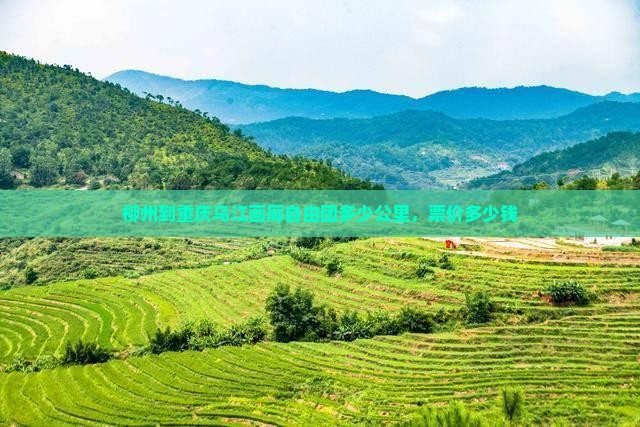 柳州到重庆乌江画廊自由团