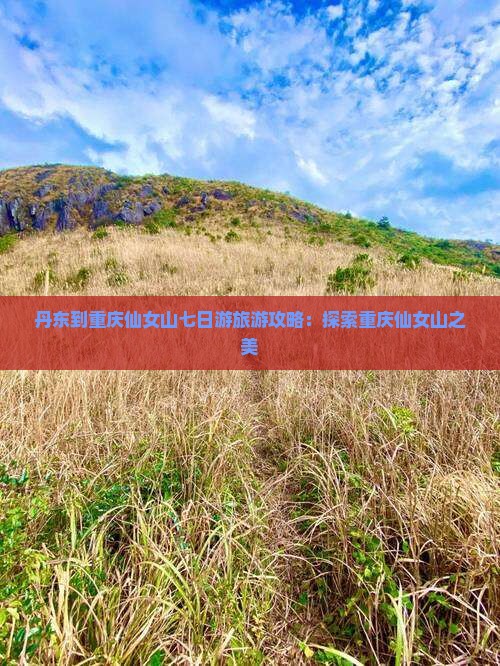 丹东到重庆仙女山七日游