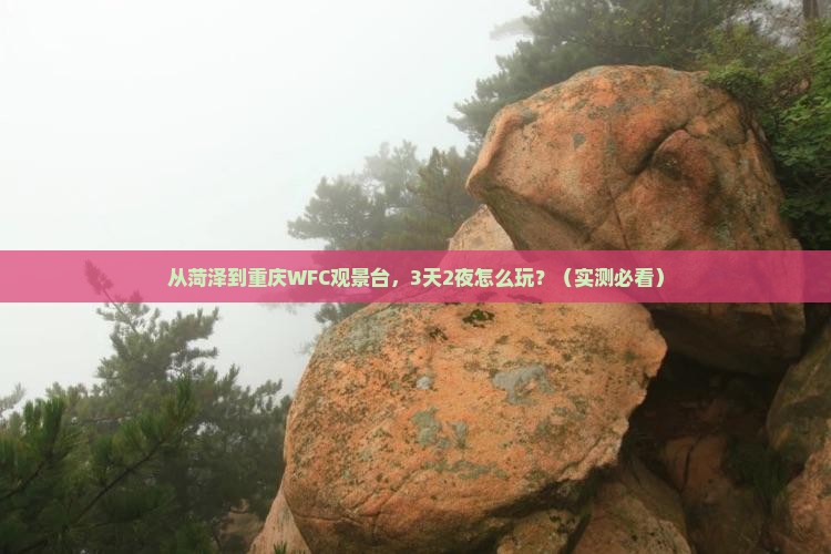 菏泽去重庆wfc观景台旅游