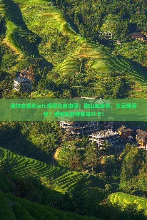 潍坊去重庆wfc观景台自由团