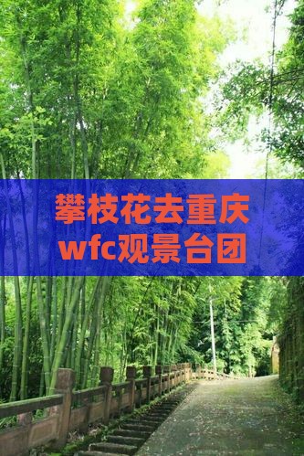 攀枝花去重庆wfc观景台团体旅游