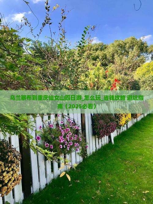 乌兰察布到重庆仙女山四日游