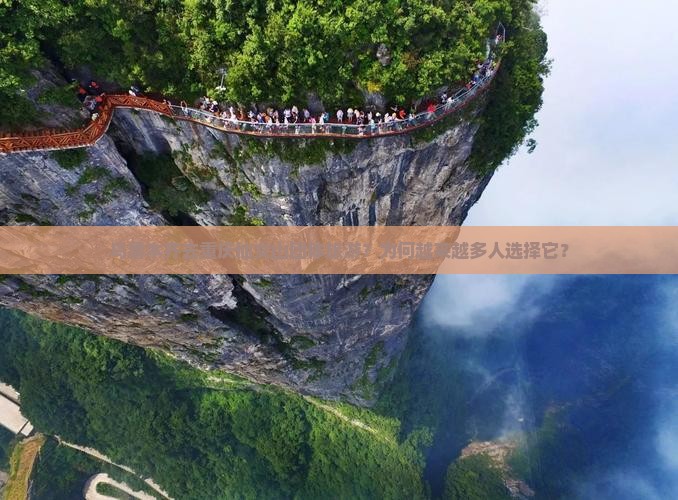 乌鲁木齐去重庆仙女山团体旅游