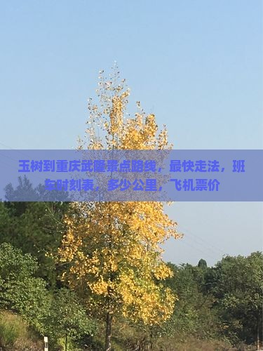 玉树到重庆武隆景点