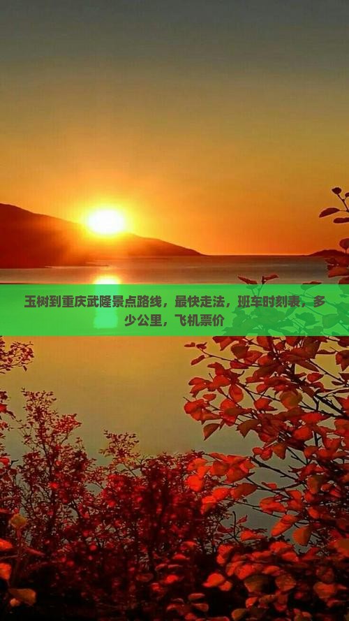 玉树到重庆武隆景点