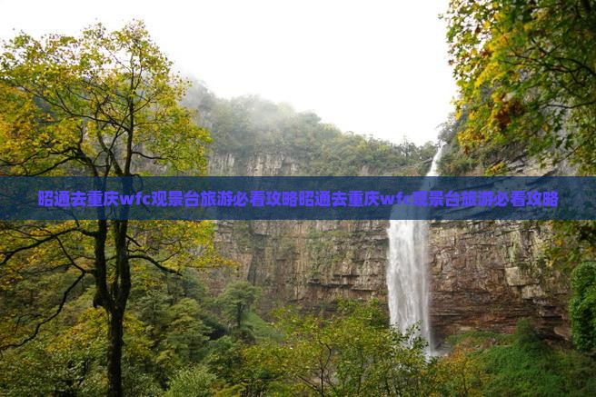 昭通去重庆wfc观景台旅游