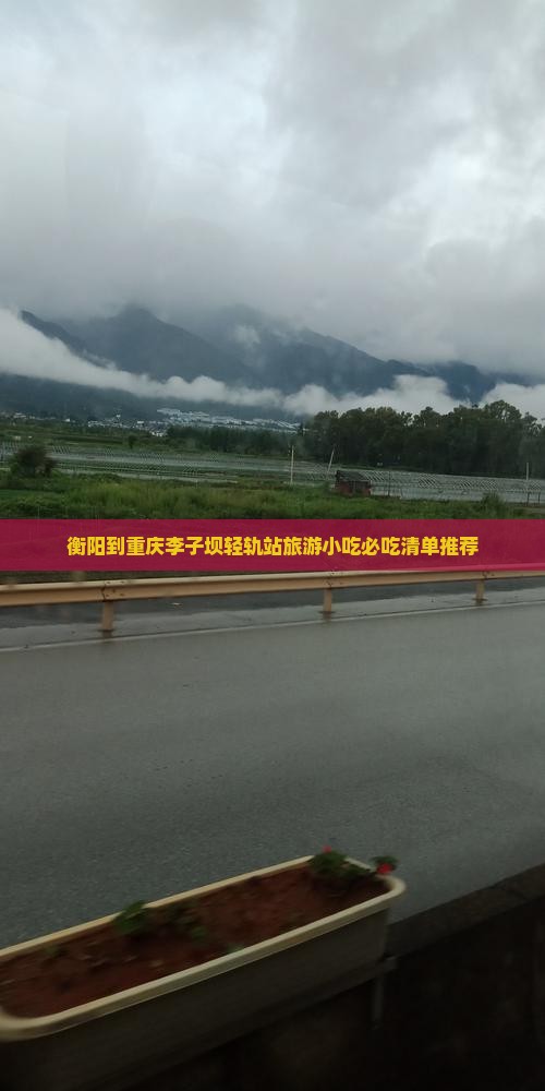 衡阳到重庆李子坝轻轨站旅游小吃