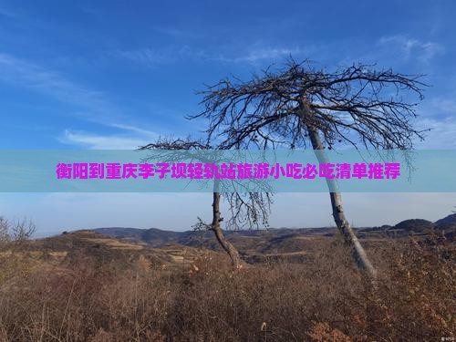 衡阳到重庆李子坝轻轨站旅游小吃