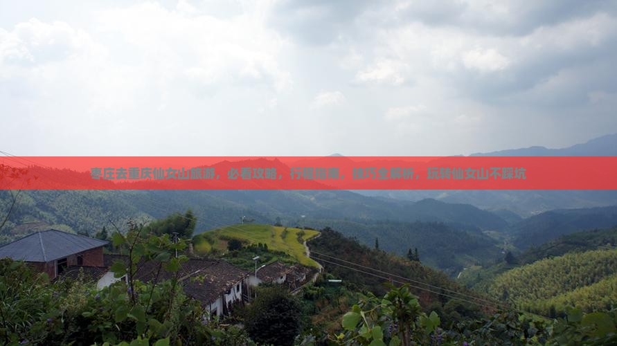 枣庄去重庆仙女山旅游