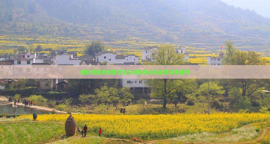 烟台到重庆武隆天生三桥旅游小吃