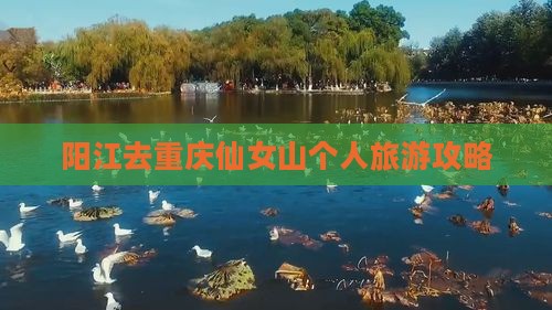 阳江去重庆仙女山个人游