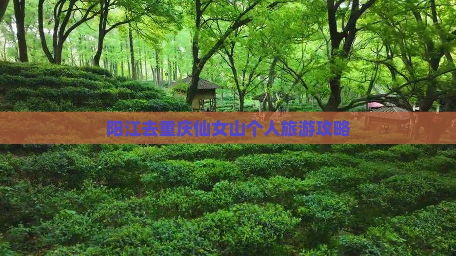阳江去重庆仙女山个人游