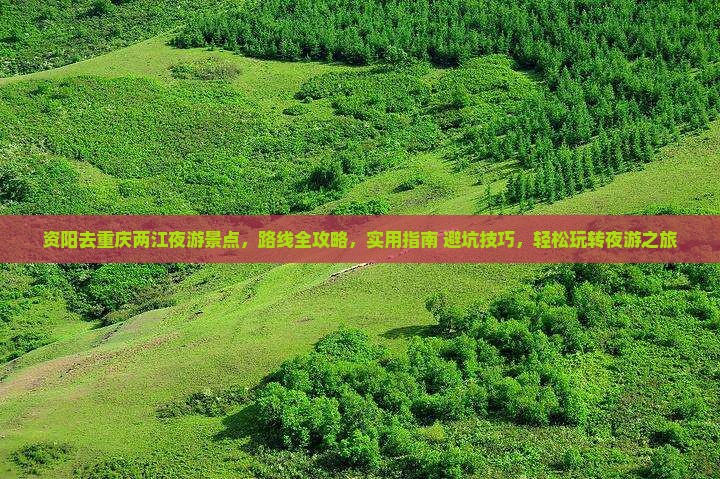 资阳去重庆两江夜游景点