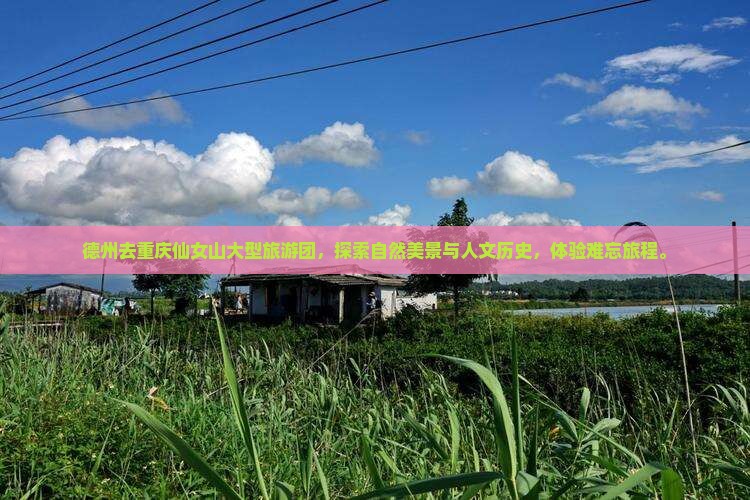 德州去重庆仙女山大型旅游团