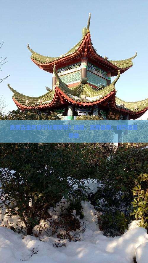 娄底去重庆旅行社