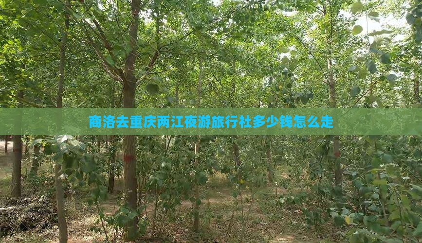 商洛去重庆两江夜游旅行社