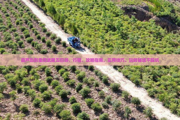 葫芦岛到重庆武隆五日游